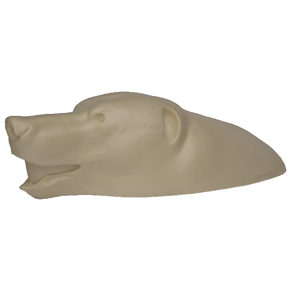 Bear Rug Shell Bear, Brown/ Grizzly Rugshell | Ohio Taxidermy Supply Inc.